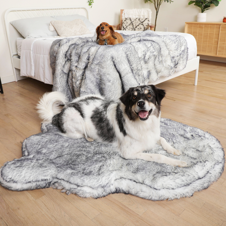 PupRug™ Luxe Orthopedic Bed + Matching Waterproof Blanket  Bundle - Ultra Plush Arctic Fox