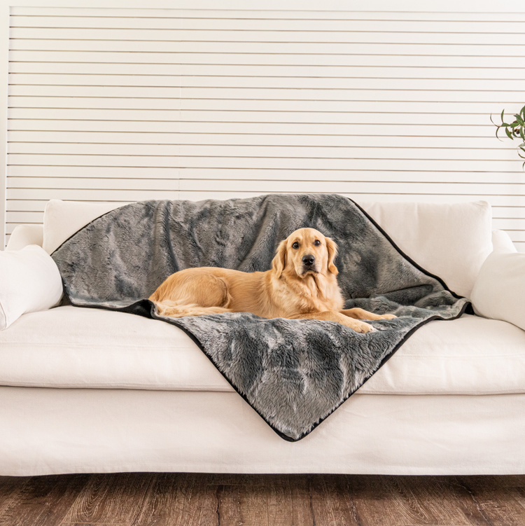 Paw.com x BarkBox PupProtector™ Short Fur Waterproof Throw Blanket - Charcoal Grey