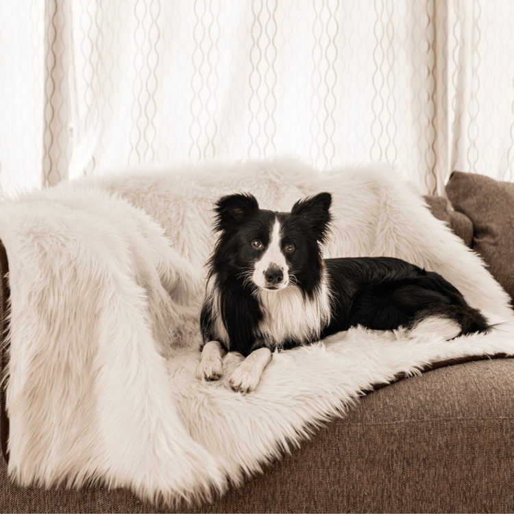 Paw.com x BarkBox PupProtector™ Waterproof Throw Blanket - Polar White