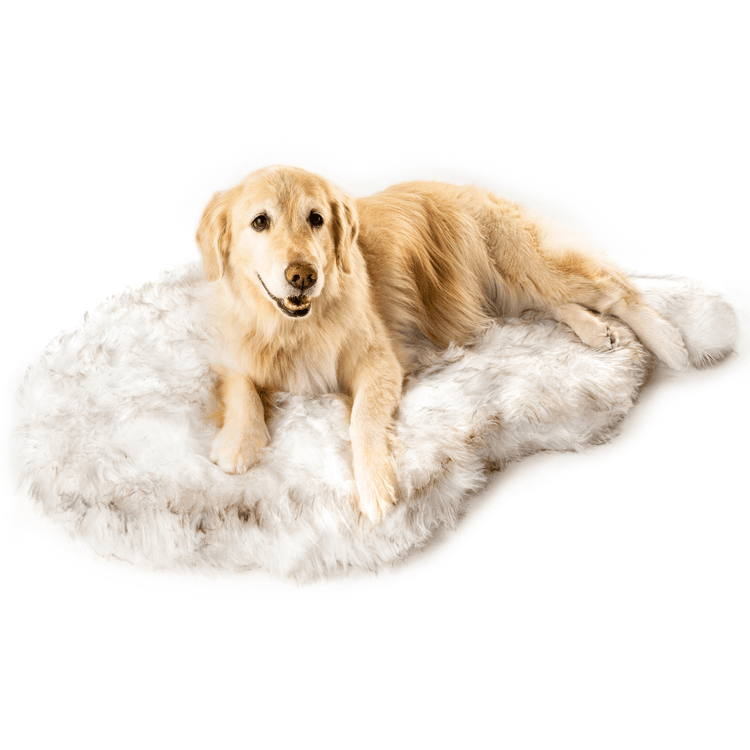 dog on white faux fur memory foam dog bed