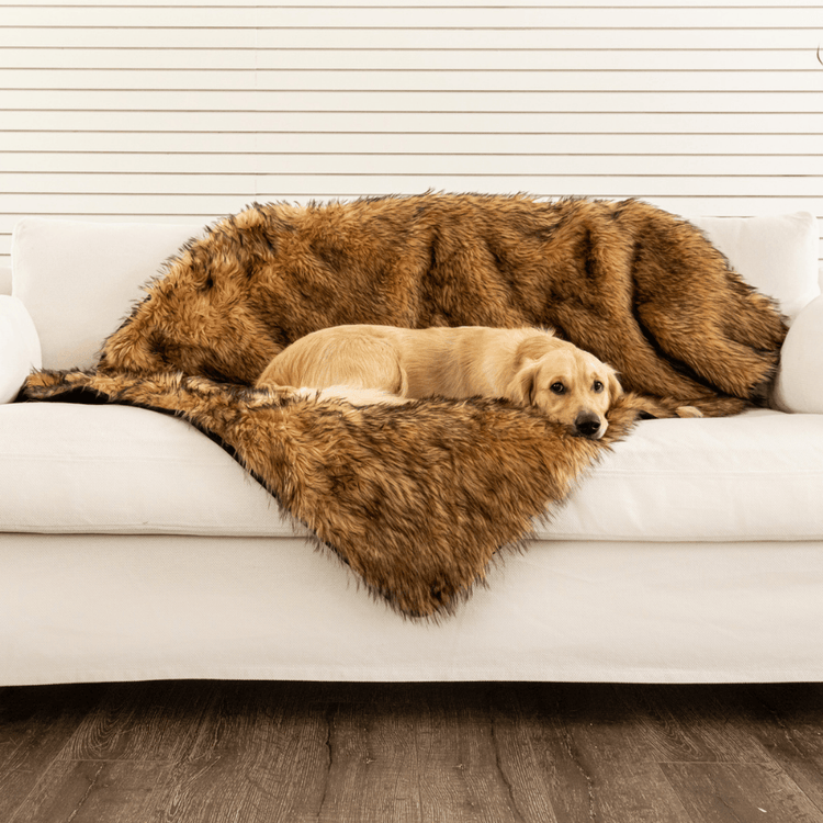 Paw.com x BarkBox PupProtector™ Waterproof Throw Blanket - Sable Tan