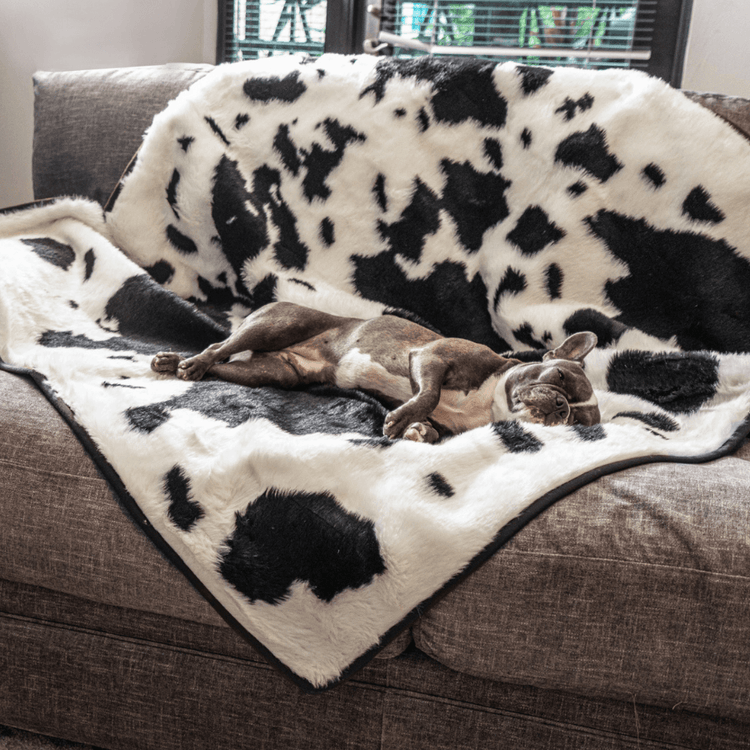 Paw.com x BarkBox PupProtector™ Waterproof Throw Blanket -  Black Faux Cowhide