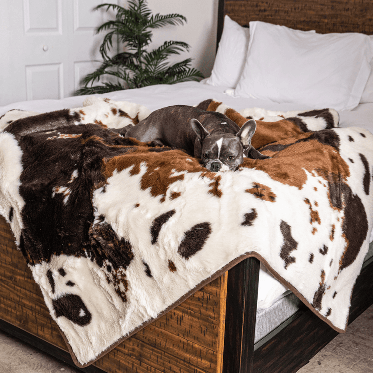 BOGO 50% OFF PupProtector™ Waterproof Throw Blankets