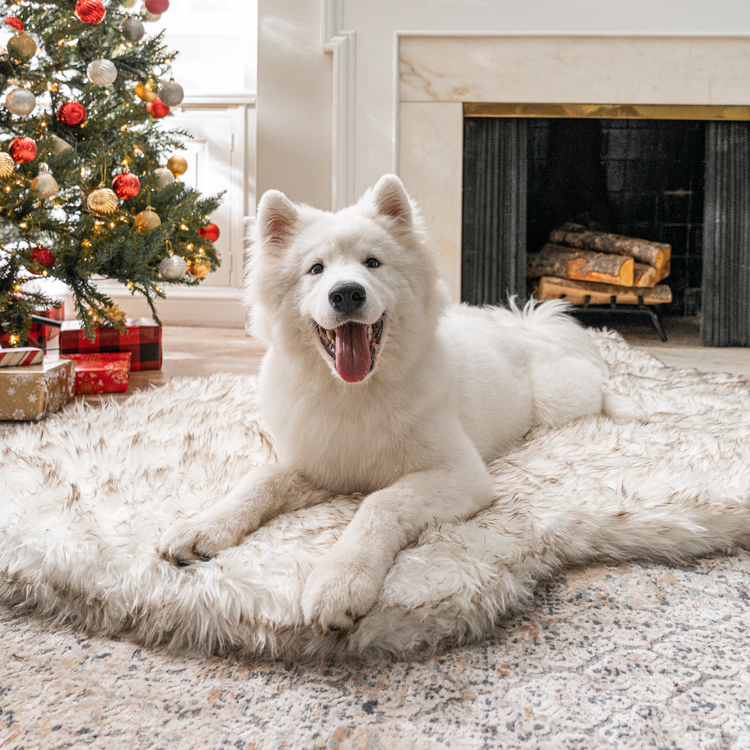 PupRug™ Faux Fur White With Brown Accents Orthopedic Dog Bed + FREE Holiday Plaid Bed Cover