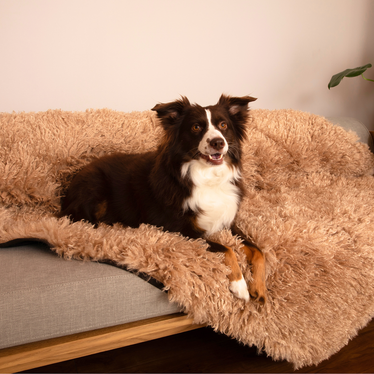 PupProtector™ Luxe Waterproof Faux Fur Blanket - Plush Sheep Tan