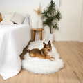 PupRug™ Orthopedic Runner Bed + Matching Waterproof Blanket Bundle - Polar White