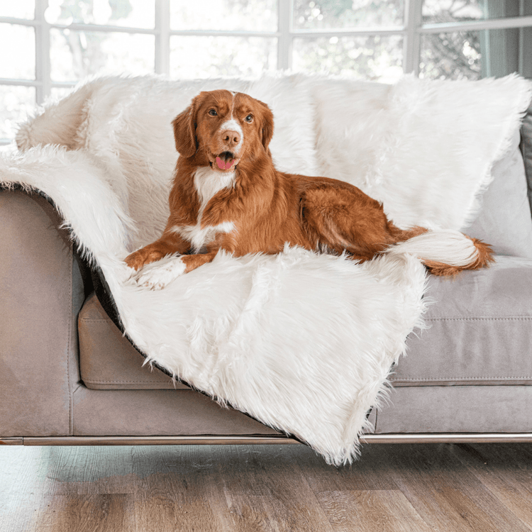 Paw.com x BarkBox PupProtector™ Waterproof Throw Blanket - Polar White