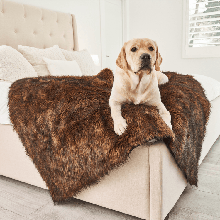 Paw.com x BarkBox PupProtector™ Waterproof Throw Blanket - Brown