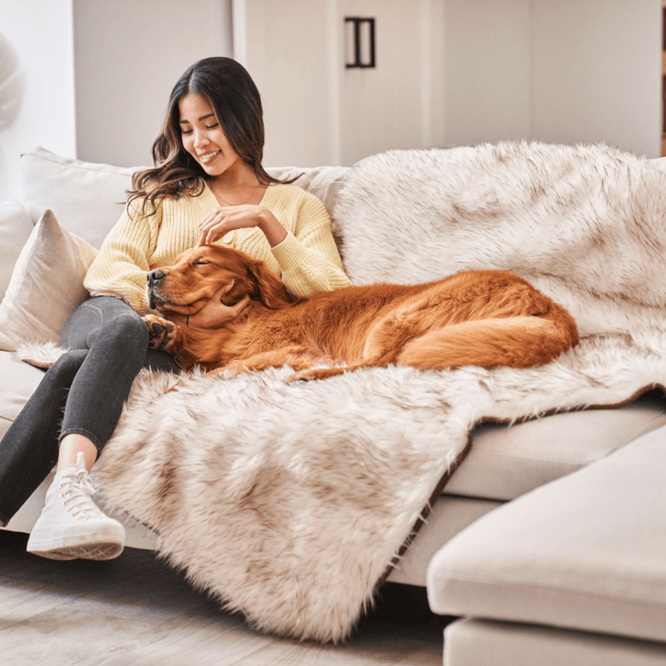 Woman and her Golden Retriever Dog cozying up on Blanket