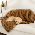 Paw.com x BarkBox PupProtector™ Waterproof Throw Blanket - Sable Tan