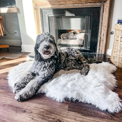 Paw.com x BarkBox PupRug™ Faux Fur Orthopedic Dog Bed - Polar White