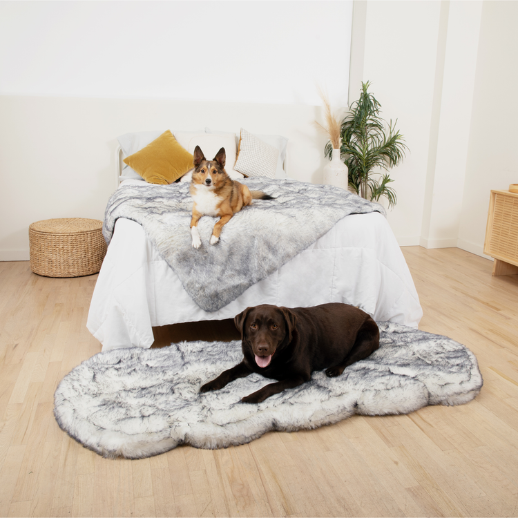 PupRug™ Luxe Orthopedic Runner Bed + Matching Waterproof Blanket  Bundle - Ultra Plush Arctic Fox