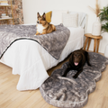 PupRug™ Luxe Orthopedic Runner Bed + Matching Waterproof Blanket  Bundle - Ultra Soft Chinchilla