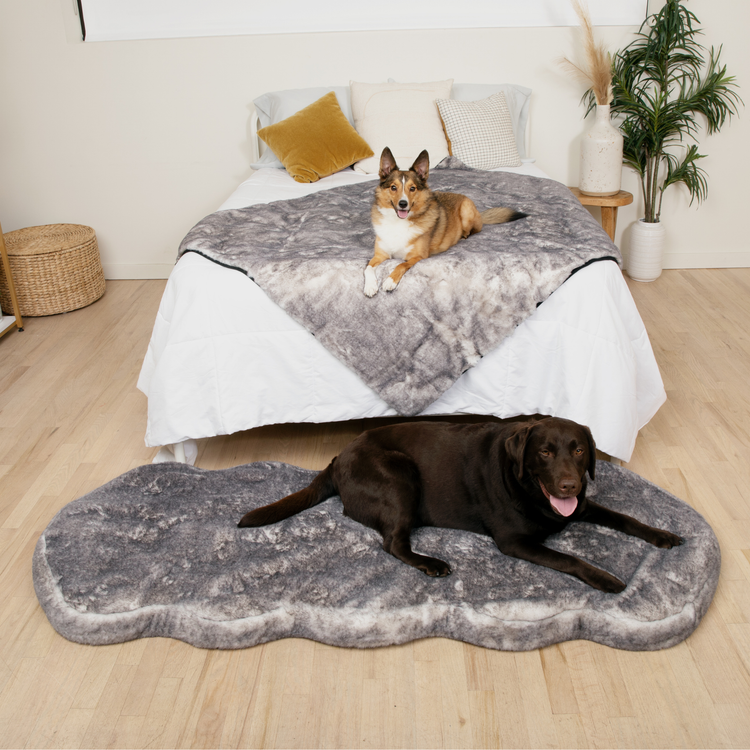 PupRug™ Luxe Orthopedic Runner Bed + Matching Waterproof Blanket  Bundle - Ultra Soft Chinchilla