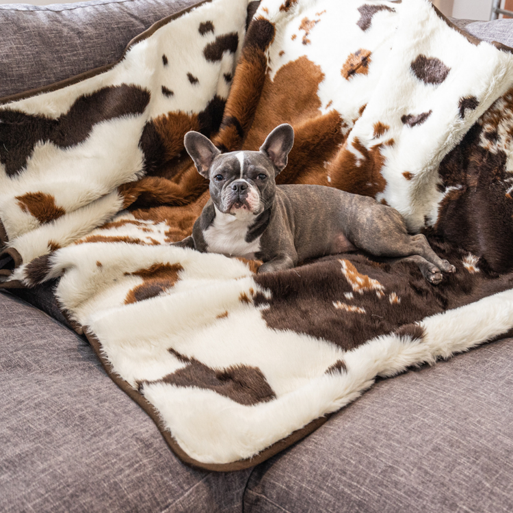 BOGO 50% OFF PupProtector™ Waterproof Throw Blankets