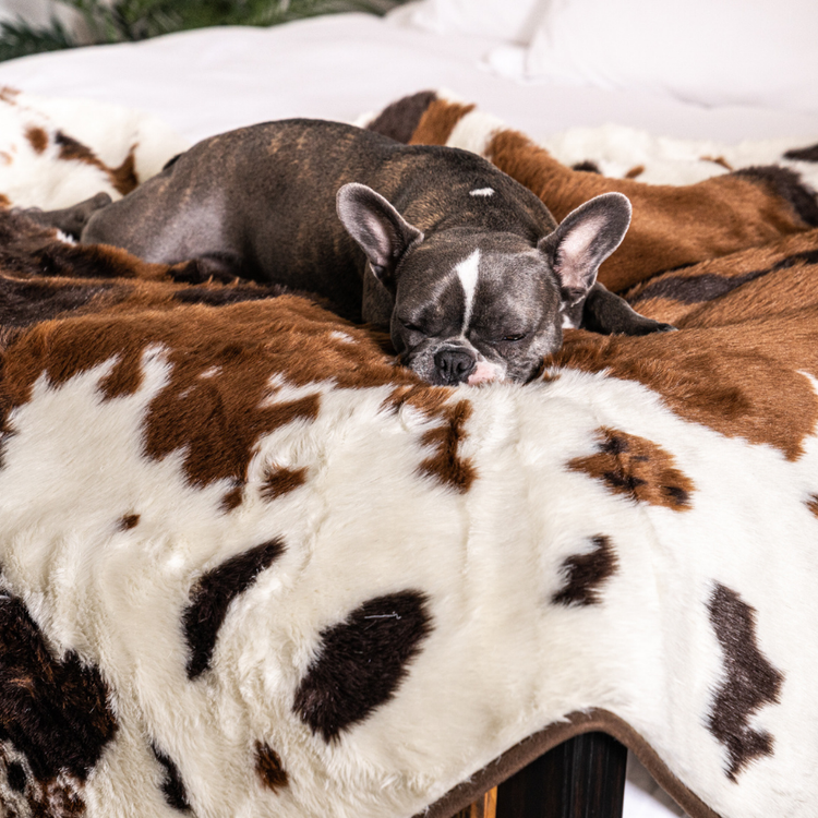 BOGO 50% OFF PupProtector™ Waterproof Throw Blankets