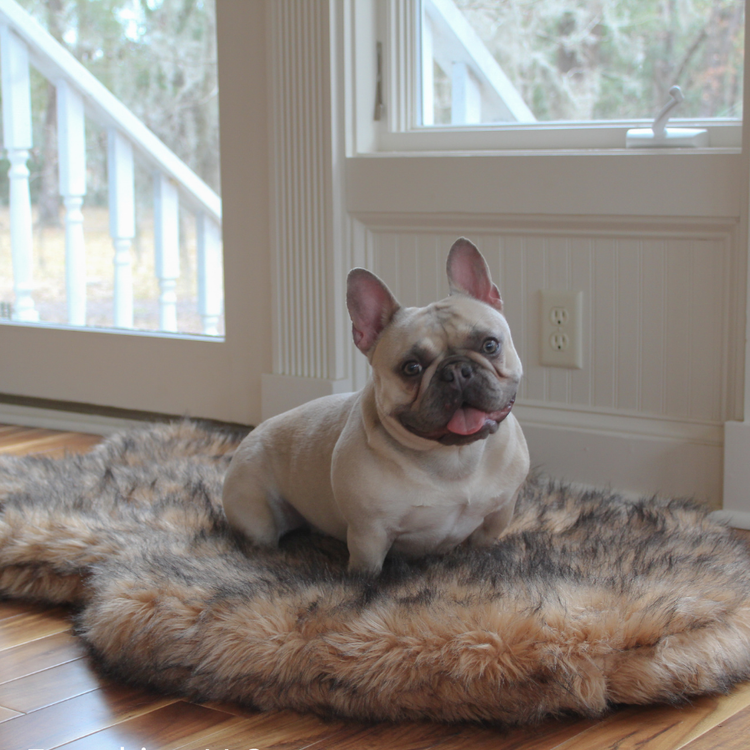 Paw.com x BarkBox PupRug™ Faux Fur Orthopedic Dog Bed - Sable Tan