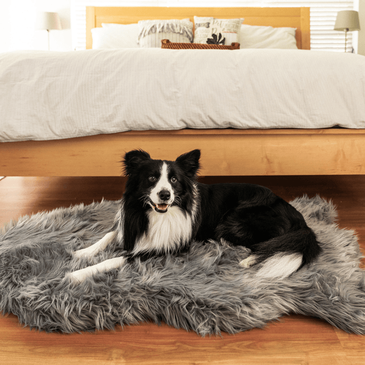 Paw.com x BarkBox PupRug™ Faux Fur Orthopedic Dog Bed - Charcoal Grey