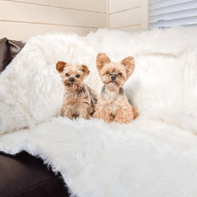 BOGO 50% OFF PupProtector™ Waterproof Throw Blankets