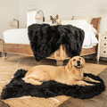 BOGO 50% OFF PupProtector™ Waterproof Throw Blankets