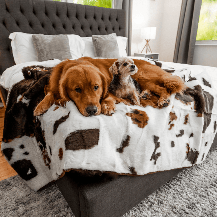 BOGO 50% OFF PupProtector™ Waterproof Throw Blankets