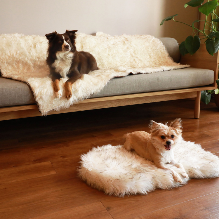 PupRug™ Orthopedic Bed + Matching Waterproof Blanket Bundle - White with Brown Accents