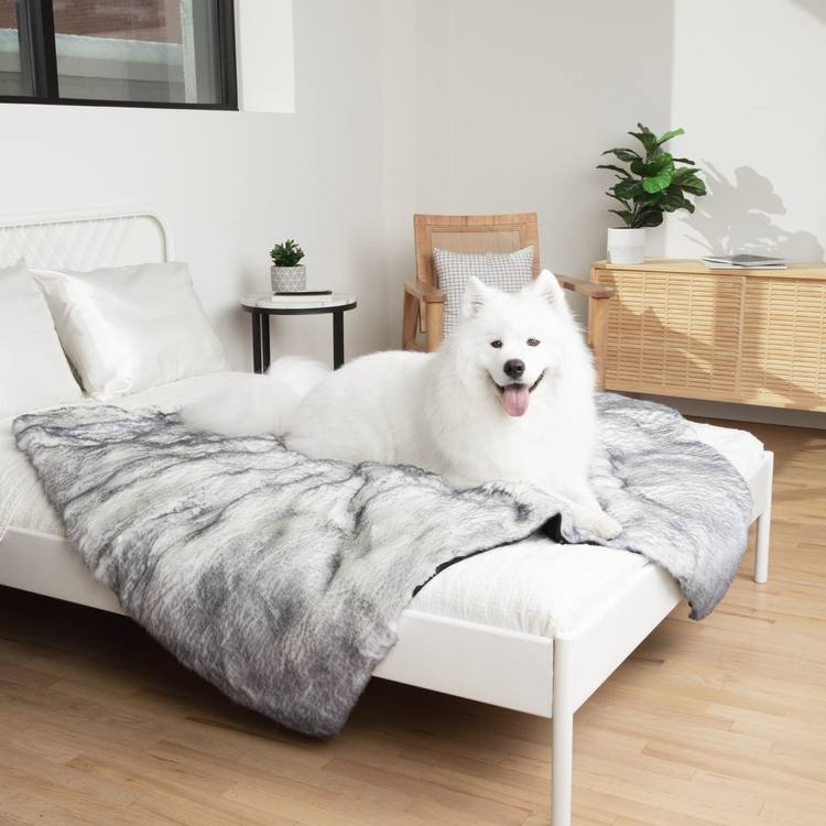 PupRug™ Luxe Orthopedic Bed + Matching Waterproof Blanket  Bundle - Ultra Plush Arctic Fox