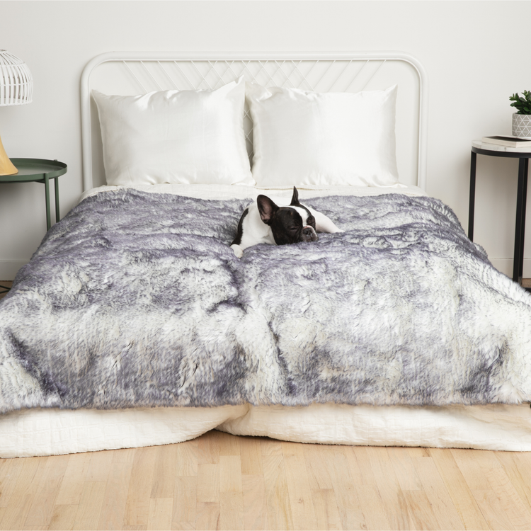 PupRug™ Luxe Orthopedic Runner Bed + Matching Waterproof Blanket  Bundle - Ultra Plush Arctic Fox