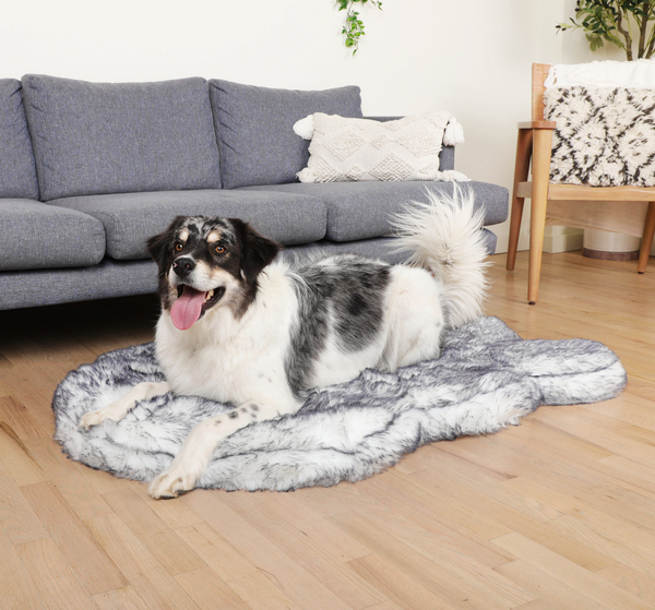 The Dog Bed That Looks Like a Luxe Area Rug – Paw.com