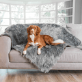 Australian Shepherd posing on Charcoal Grey Blanket