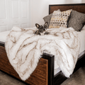 French Bulldog resting on White Faux Fur Blanket