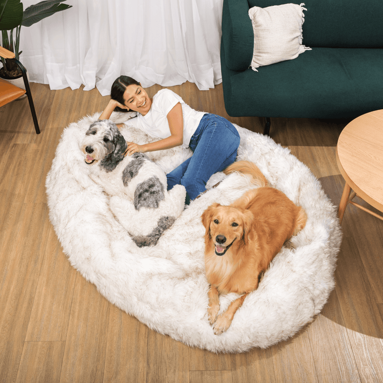 PupCloud™ Human Size Dog Bed + FREE Matching Waterproof Blanket