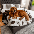 BOGO 50% OFF PupProtector™ Waterproof Throw Blankets