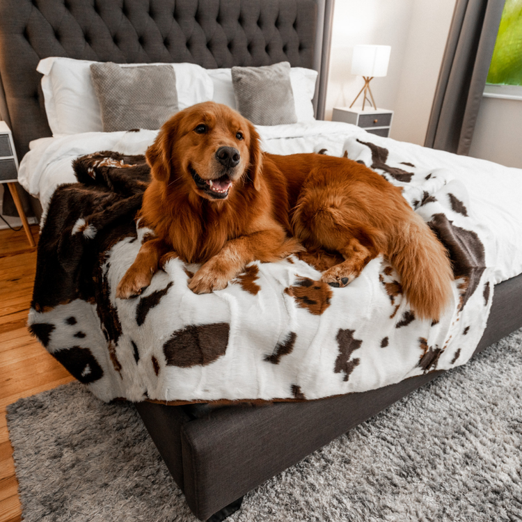 BOGO 50% OFF PupProtector™ Waterproof Throw Blankets