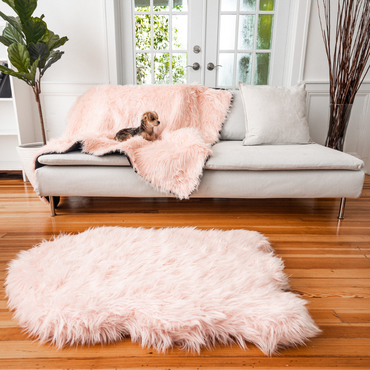 Yorkshire Terrier laying on blush pink faux fur pet blanket