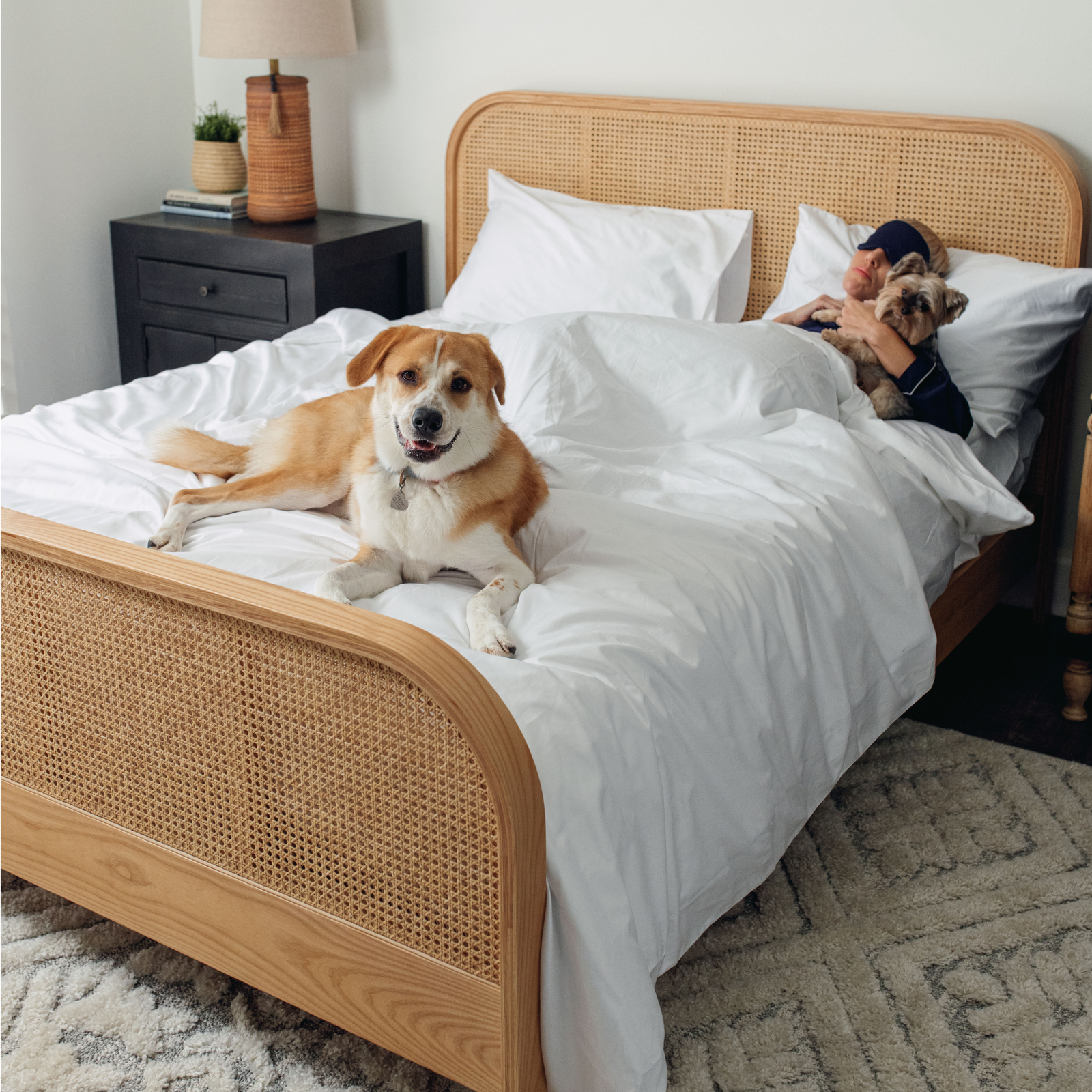 Dog friendly outlet bed sheets