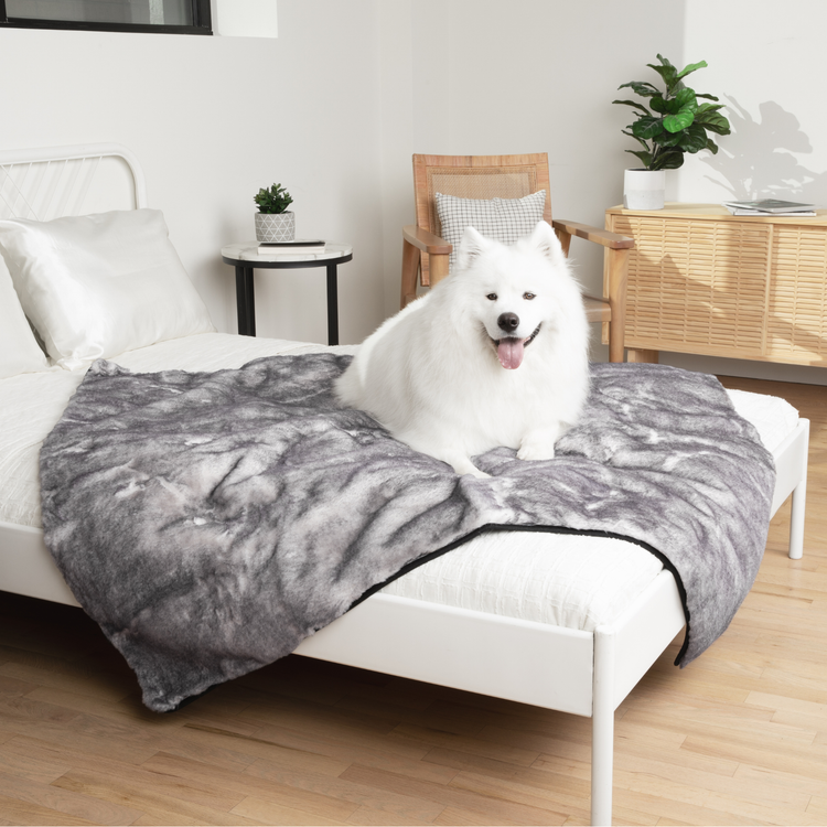 PupRug™ Luxe Orthopedic Runner Bed + Matching Waterproof Blanket  Bundle - Ultra Soft Chinchilla