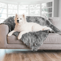 Samoyed dog resting on Charcoal Grey Blanket on Grey Couch