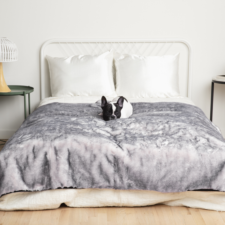 PupRug™ Luxe Orthopedic Runner Bed + Matching Waterproof Blanket  Bundle - Ultra Soft Chinchilla