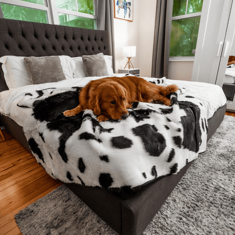 BOGO 50% OFF PupProtector™ Waterproof Throw Blankets