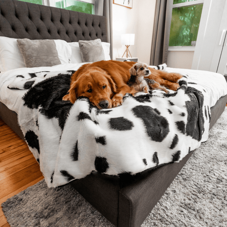 BOGO 50% OFF PupProtector™ Waterproof Throw Blankets