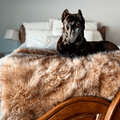 Paw.com x BarkBox PupProtector™ Waterproof Throw Blanket - Sable Tan