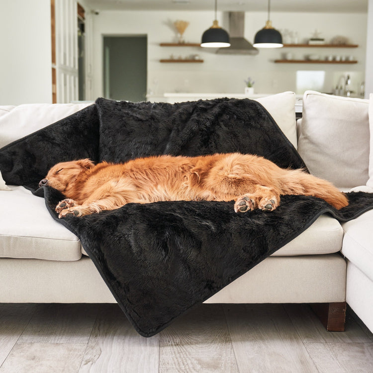 PupProtector™ Short Fur Waterproof Throw Blanket - Midnight Black