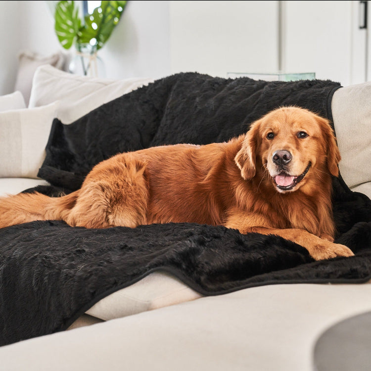 Paw.com x BarkBox PupProtector™ Short Fur Waterproof Throw Blanket - Midnight Black