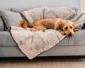 goldendoodle cozy on grey luxury pet throw on couch