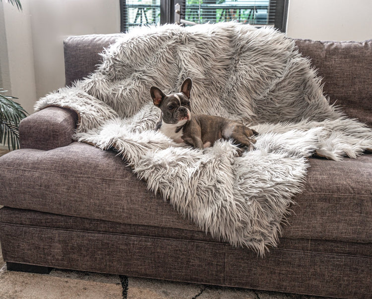 PupRug™ Bundle - Orthopedic Bed Rectangle, Grey + Matching Waterproof Blanket - Giant