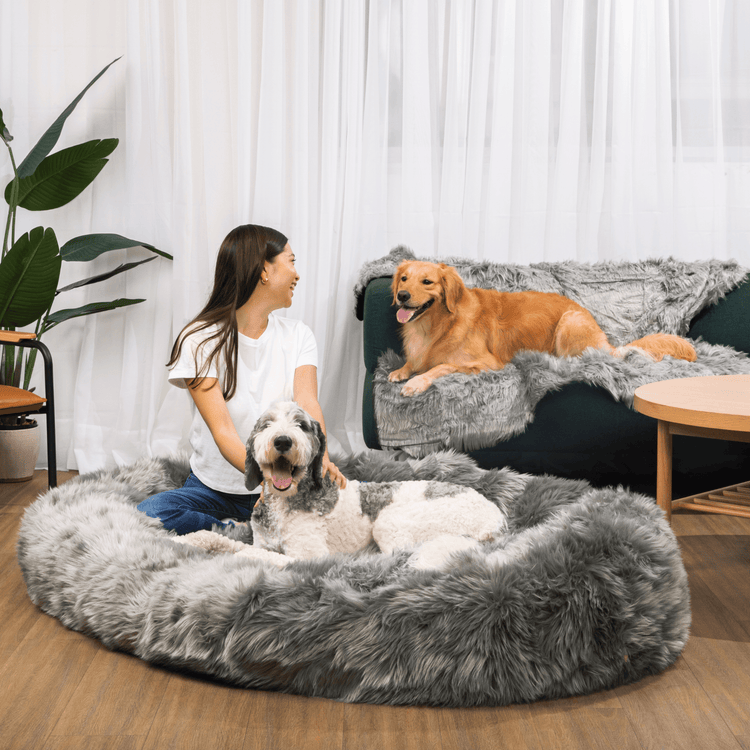 PupCloud™ Human Size Dog Bed + FREE Matching Waterproof Blanket