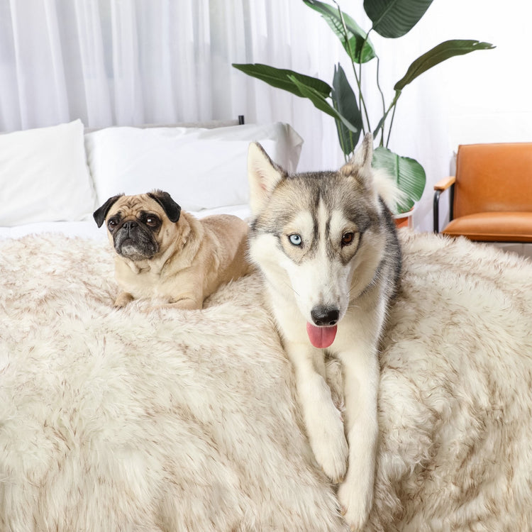 BOGO 50% OFF PupProtector™ Waterproof Throw Blankets