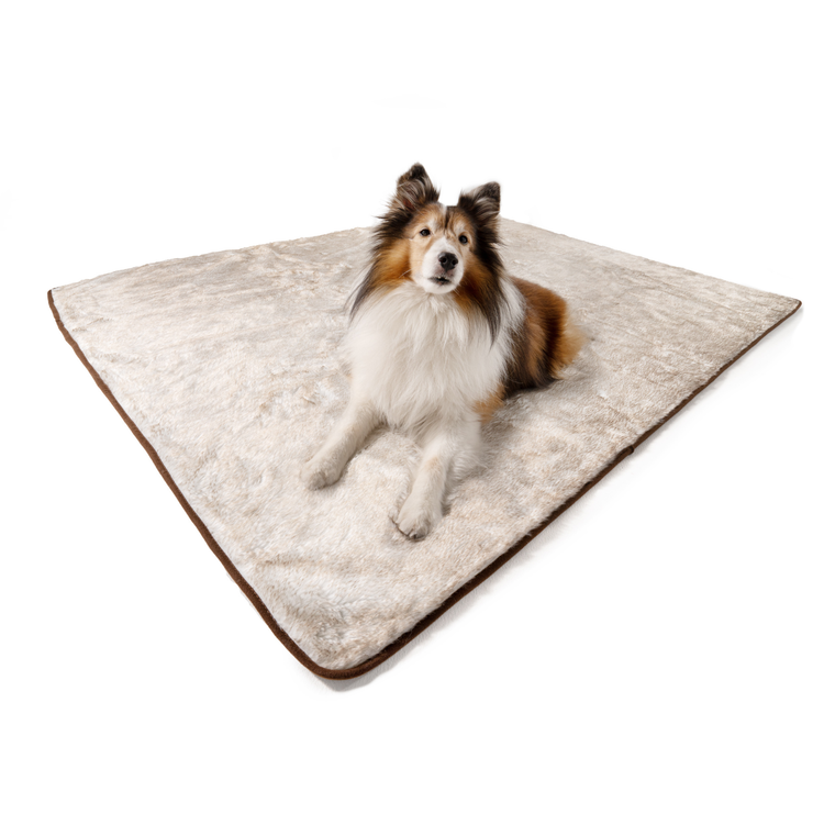 Paw.com x BarkBox PupProtector™ Short Fur Waterproof Throw Blanket - White with Brown Accents