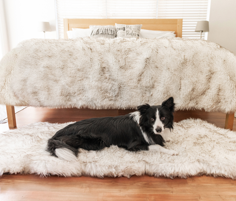 PupRug™ Orthopedic Runner Bed + Matching Waterproof Blanket Bundle - White with Brown Accents